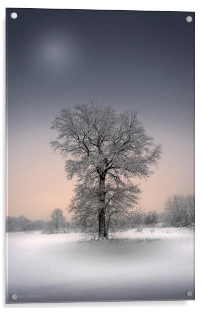 Winter solitude Acrylic by Dejan Travica