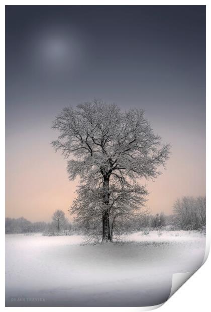 Winter solitude Print by Dejan Travica