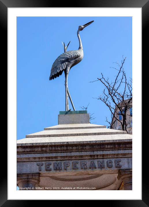 Temperance Stork Bronze Memorial Washington DC Framed Mounted Print by William Perry