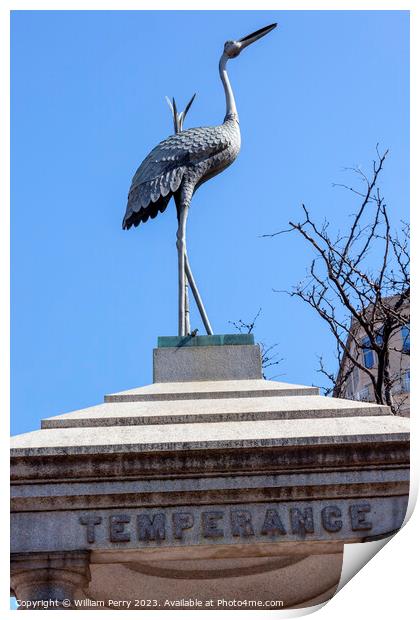 Temperance Stork Bronze Memorial Washington DC Print by William Perry