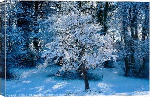 winter tree Canvas Print by Simon Johnson