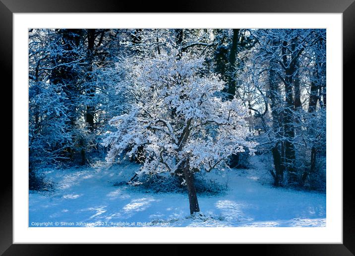 winter tree Framed Mounted Print by Simon Johnson