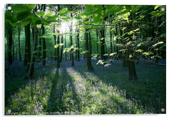 sunlit bluebell woodland  Acrylic by Simon Johnson
