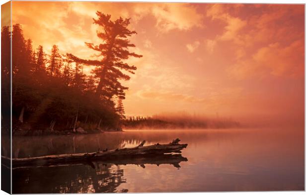 sunrise, Lyons Lake Canvas Print by Dave Reede