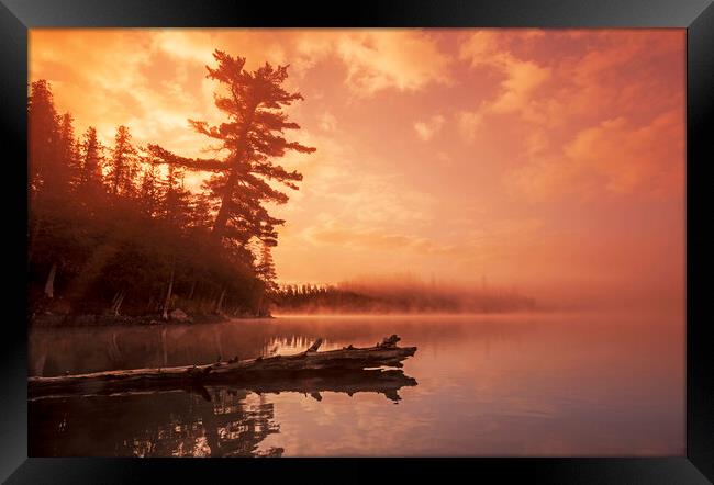 sunrise, Lyons Lake Framed Print by Dave Reede