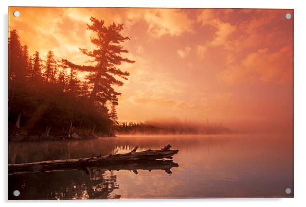 sunrise, Lyons Lake Acrylic by Dave Reede
