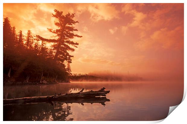sunrise, Lyons Lake Print by Dave Reede
