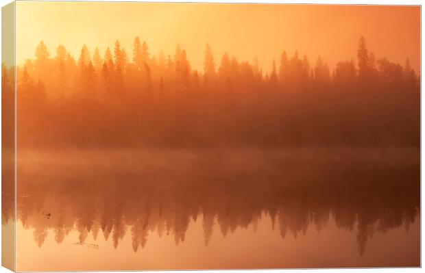 Morning Fog Over Lake Canvas Print by Dave Reede