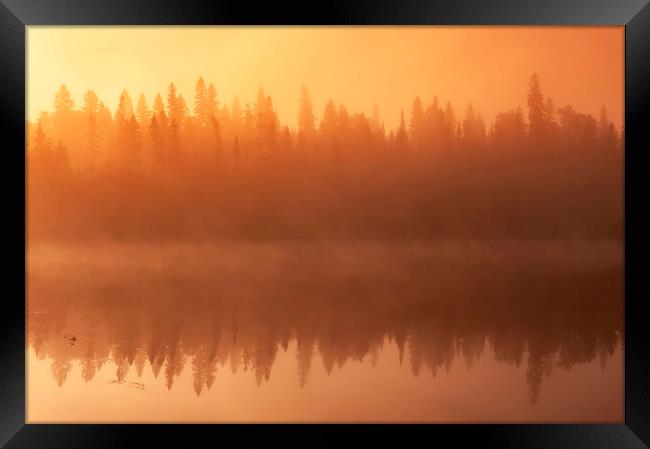Morning Fog Over Lake Framed Print by Dave Reede
