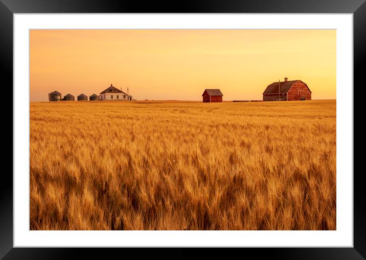 abandoned farm Framed Mounted Print by Dave Reede