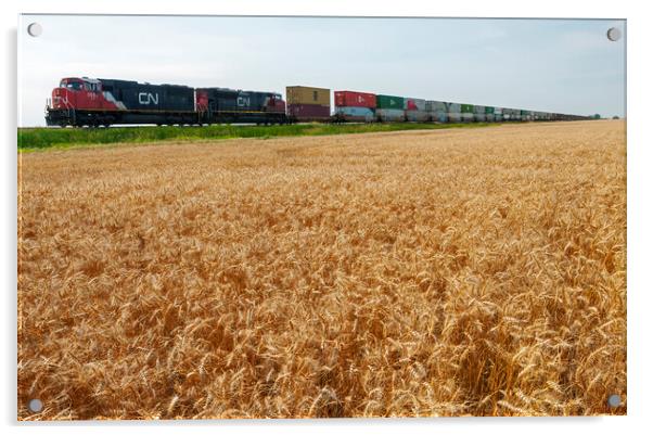 spring wheat field with passing train Acrylic by Dave Reede