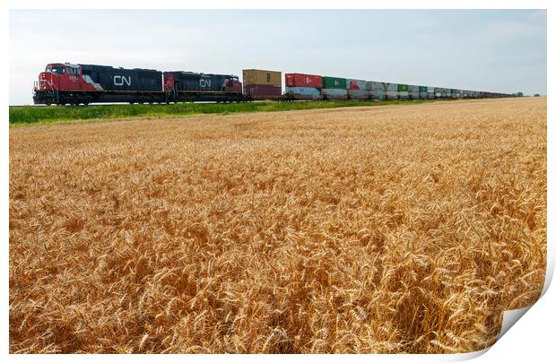 spring wheat field with passing train Print by Dave Reede