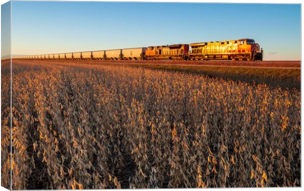 a train passes a soybean field Canvas Print by Dave Reede