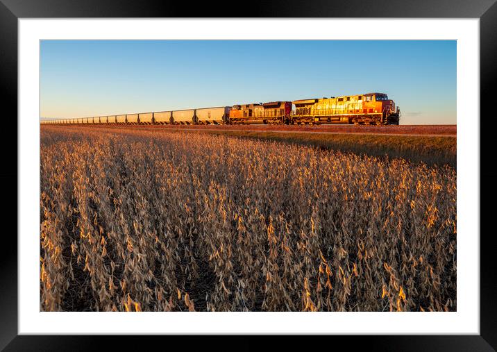a train passes a soybean field Framed Mounted Print by Dave Reede