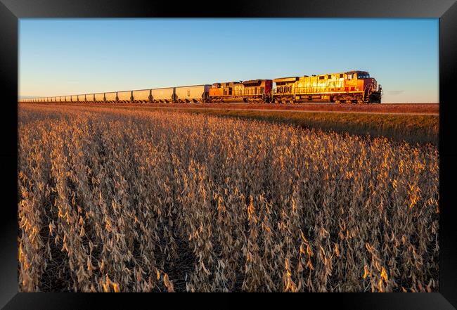 a train passes a soybean field Framed Print by Dave Reede