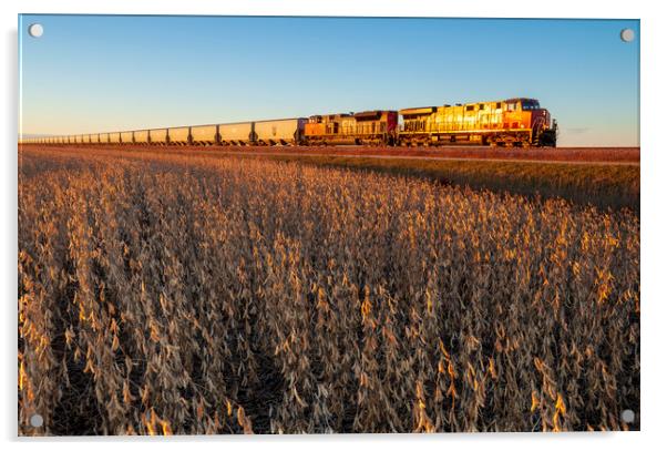 a train passes a soybean field Acrylic by Dave Reede