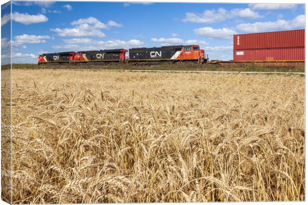 spring wheat field with passing train Canvas Print by Dave Reede