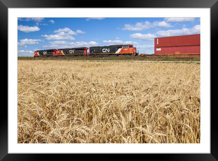 spring wheat field with passing train Framed Mounted Print by Dave Reede