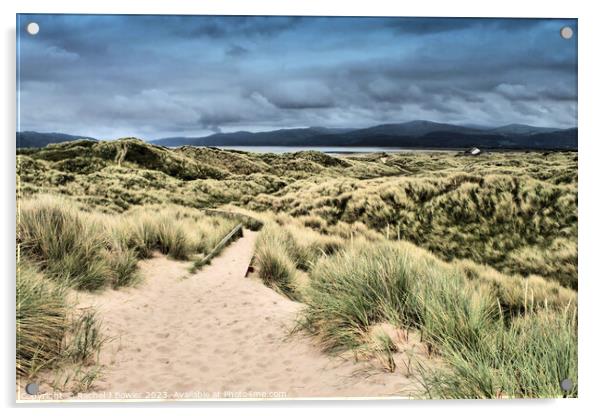 Ynyslas Sand Dunes Acrylic by RJ Bowler
