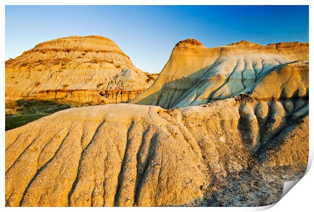 Weathered Landscape Print by Dave Reede