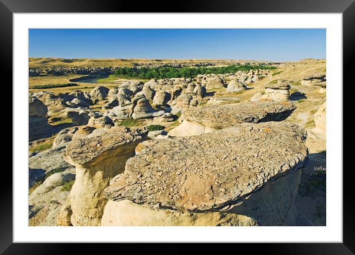 weathered landscape, Writing On Stone Framed Mounted Print by Dave Reede
