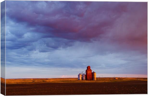 abandoned grain elevator and cumulonimbus cloud Canvas Print by Dave Reede