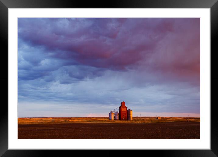 abandoned grain elevator and cumulonimbus cloud Framed Mounted Print by Dave Reede