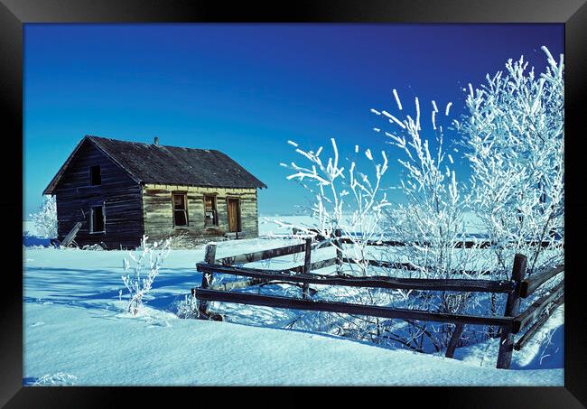 pioneer log home and trees covered with hoarfrost Framed Print by Dave Reede