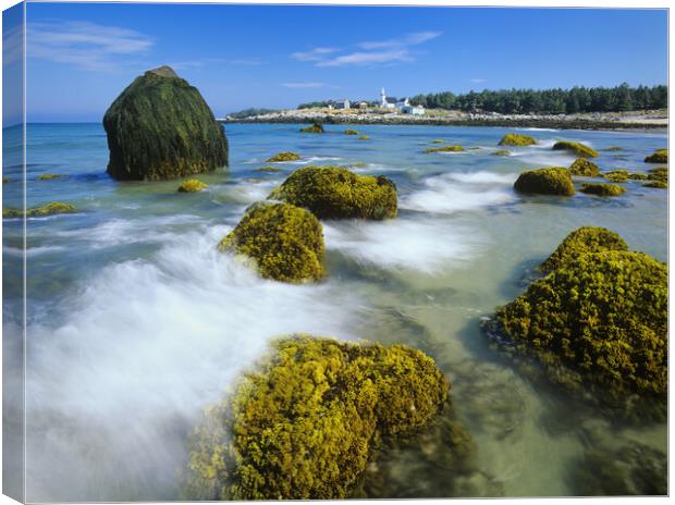 low tide on Seal Island Canvas Print by Dave Reede