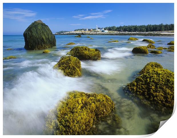 low tide on Seal Island Print by Dave Reede