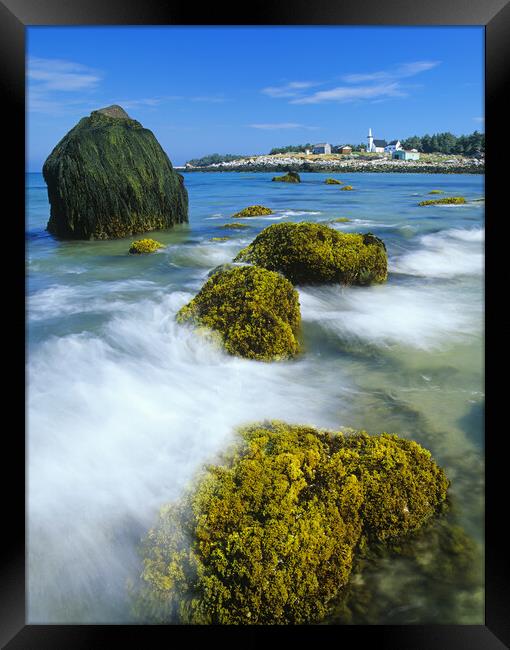 low tide on Seal Island Framed Print by Dave Reede