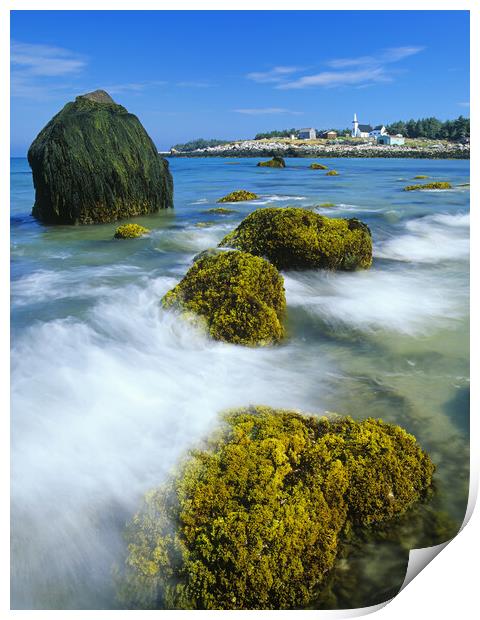 low tide on Seal Island Print by Dave Reede