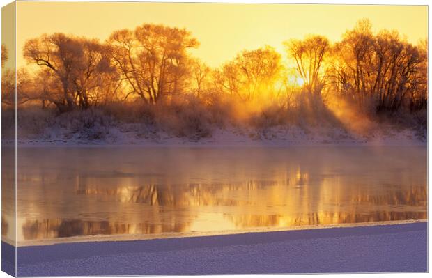 Winter along the Red River Canvas Print by Dave Reede