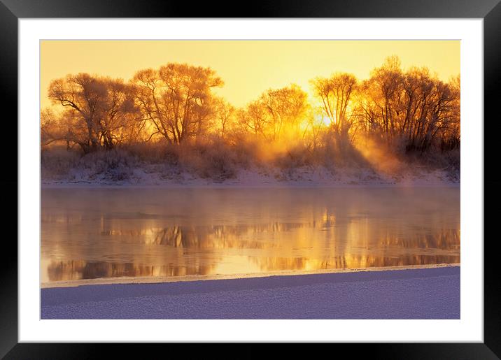 Winter along the Red River Framed Mounted Print by Dave Reede