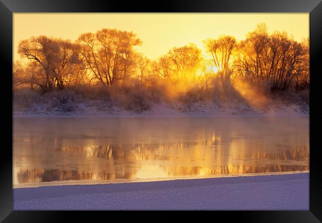 Winter along the Red River Framed Print by Dave Reede