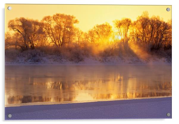 Winter along the Red River Acrylic by Dave Reede