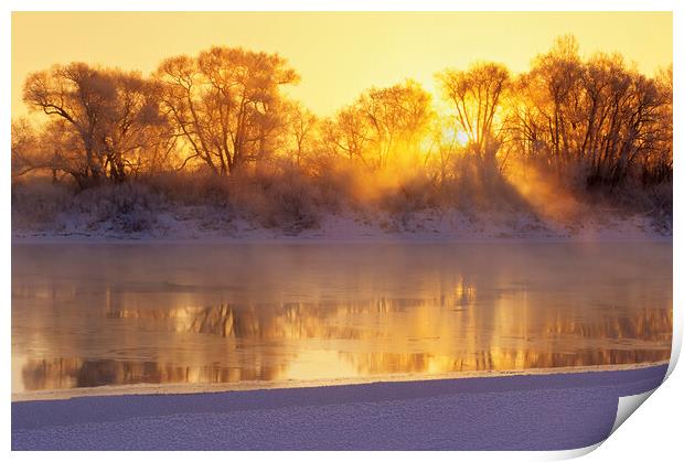 Winter along the Red River Print by Dave Reede