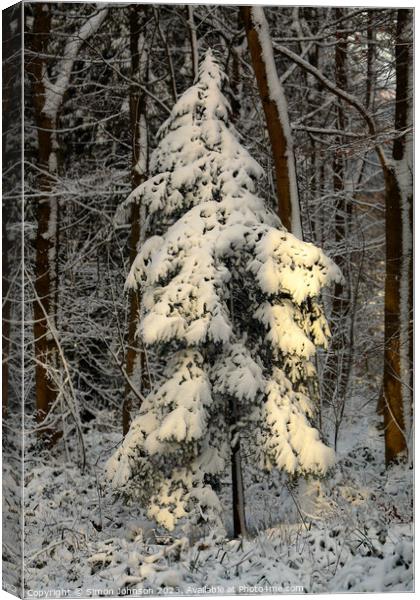 A pile of snow next to a tree Canvas Print by Simon Johnson