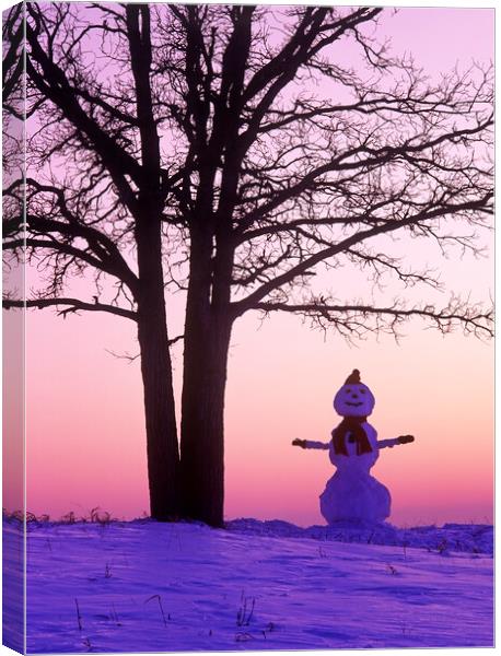 Happy Snowman Canvas Print by Dave Reede