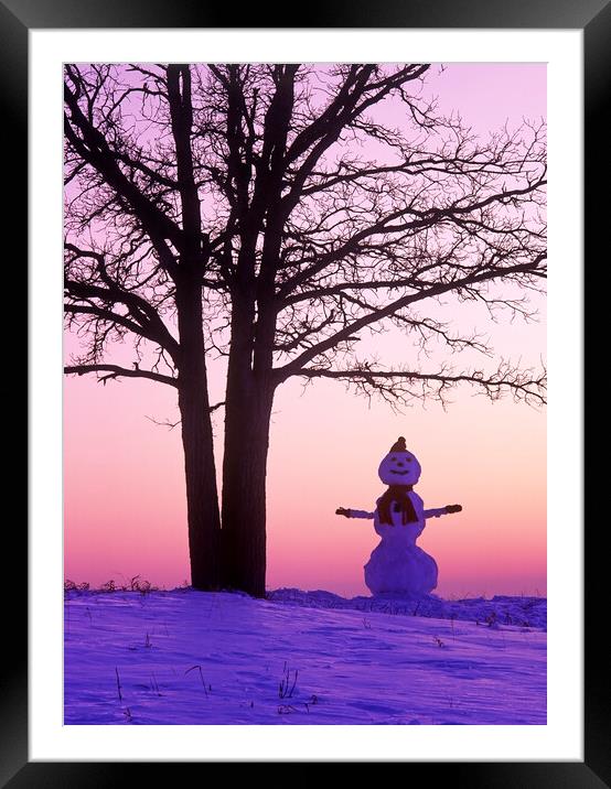 Happy Snowman Framed Mounted Print by Dave Reede