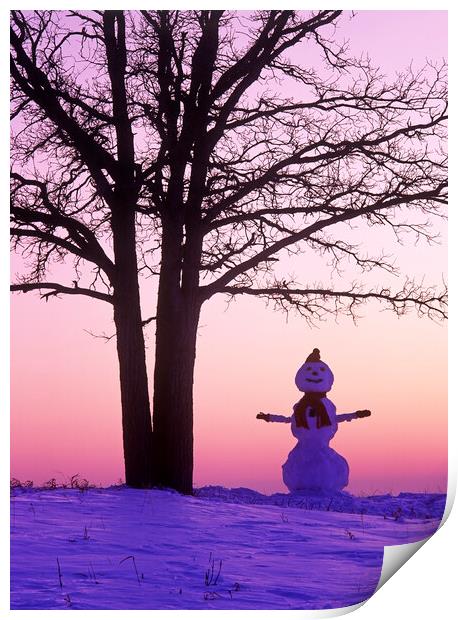 Happy Snowman Print by Dave Reede