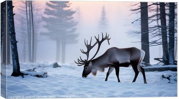 Big reindeer wanders through the snowy forest in s Canvas Print by Joaquin Corbalan