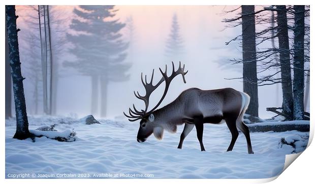 Big reindeer wanders through the snowy forest in s Print by Joaquin Corbalan