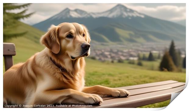 Golden retriever dog rests in a meadow with high a Print by Joaquin Corbalan