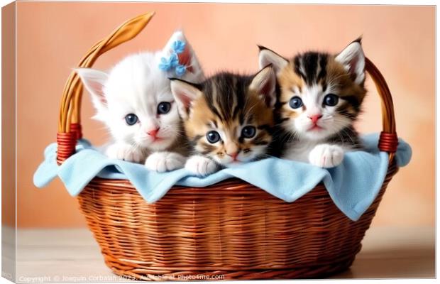 Tender and playful kittens in a basket. Canvas Print by Joaquin Corbalan