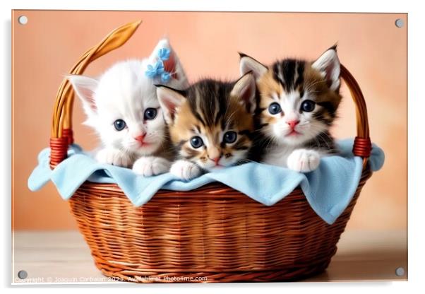 Tender and playful kittens in a basket. Acrylic by Joaquin Corbalan