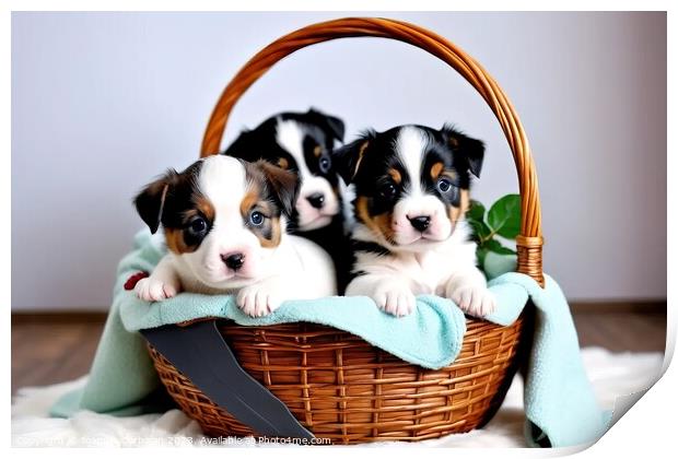 Adorable puppies in a wicker basket. Print by Joaquin Corbalan