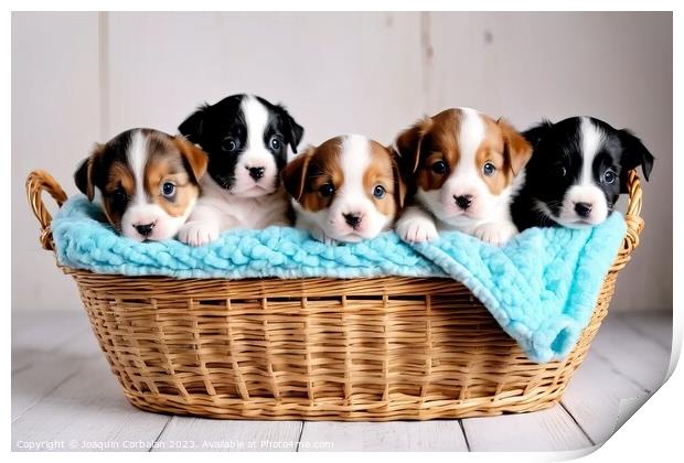 Tender puppies in a basket, an image that reaches  Print by Joaquin Corbalan