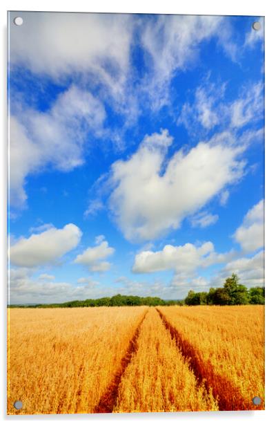Tiddington Wheat Field Acrylic by Steve Smith
