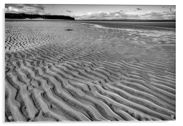 Findhorn Beach Acrylic by Steve Smith